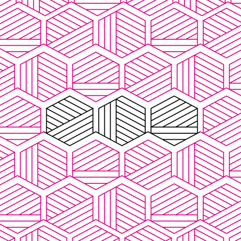 Woven Hexagon